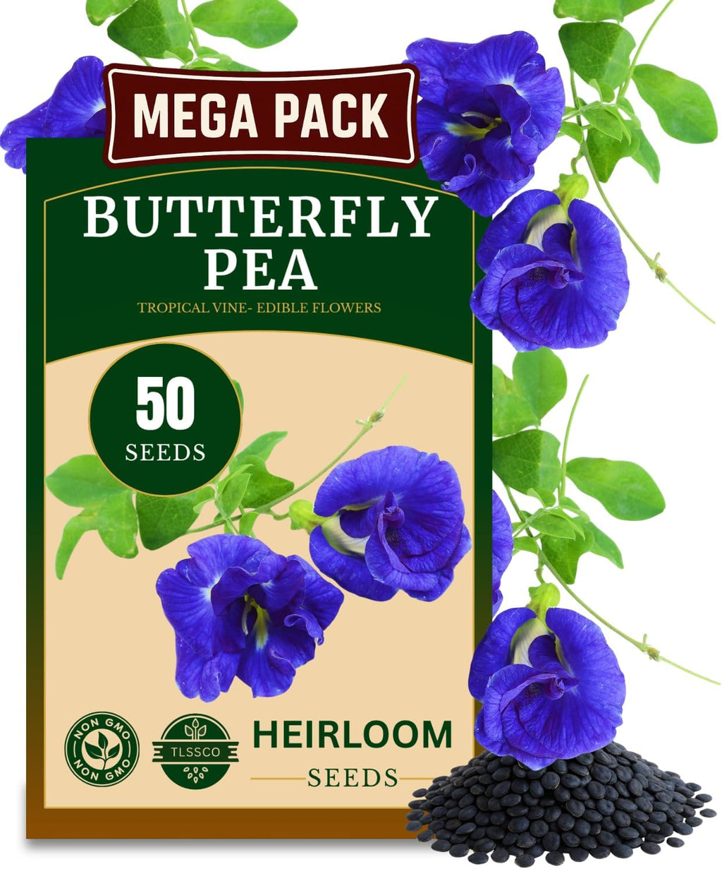 50+ Butterfly Pea Flower Seeds for Planting, Non-GMO Flower Seeds, Blue Butterfly Pea Vine (Clitoria Ternatea) Asian Pigeonwings -Tropical Vine Plant - Edible Flower Seeds