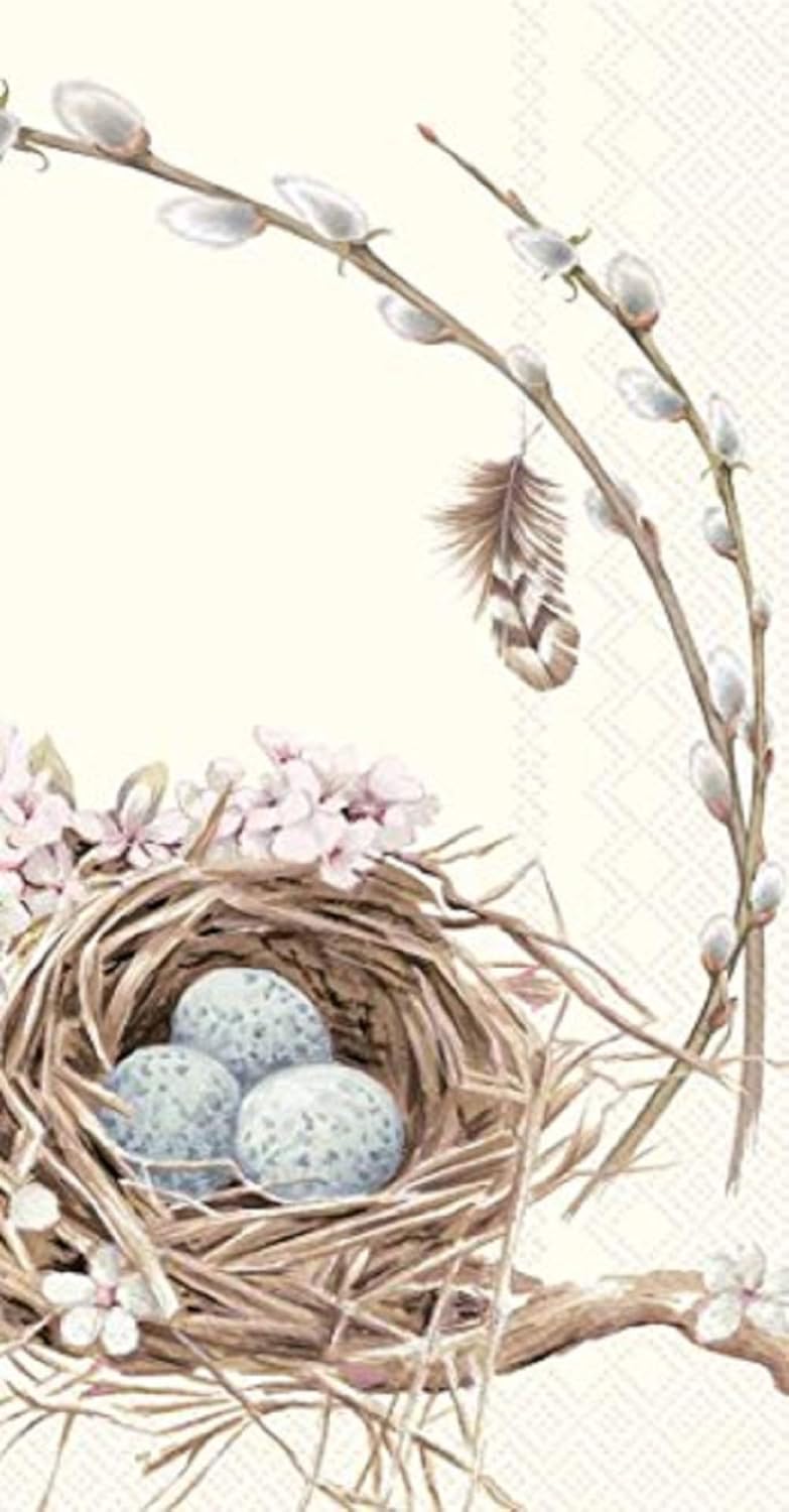 Boston International 32 Count 3-Ply Paper Guest Towel Buffet Napkins, Birds Nest with Eggs