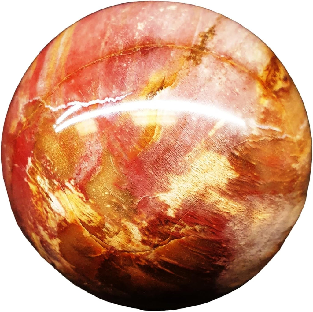 Petrified Wood Sphere Ball Minerals Mineral Stone BAPW8