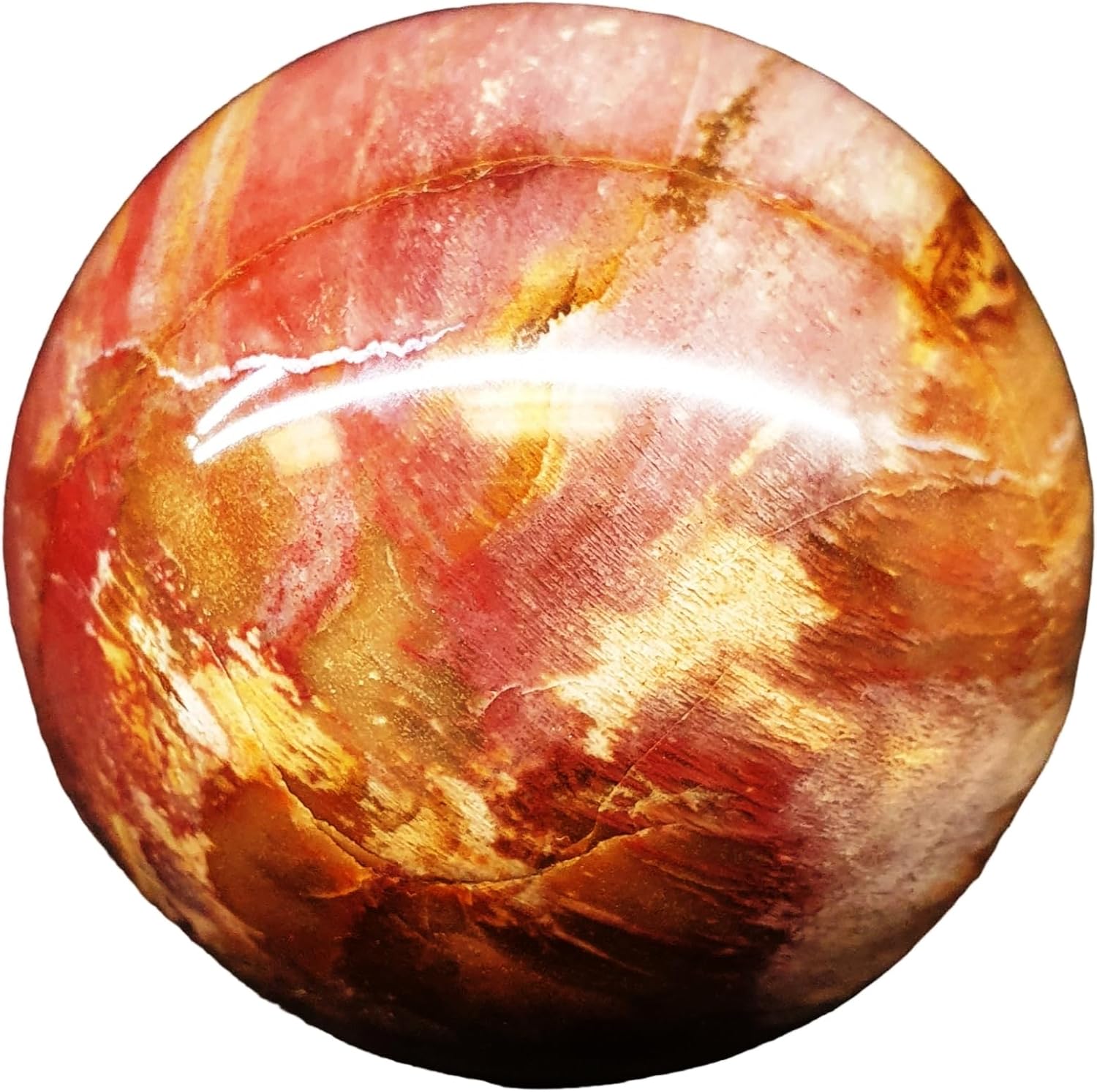Petrified Wood Sphere Ball Minerals Mineral Stone BAPW8