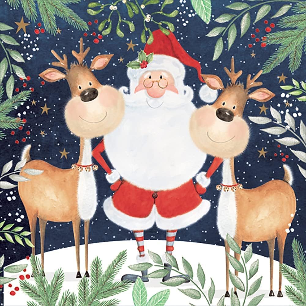 Anniversary House Tiflair Luxury Christmas Napkins, Santa & Funny Reindeer Design, Thick and Strong Paper Lunch Napkins 3 ply, Multi-Coloured PJ303550