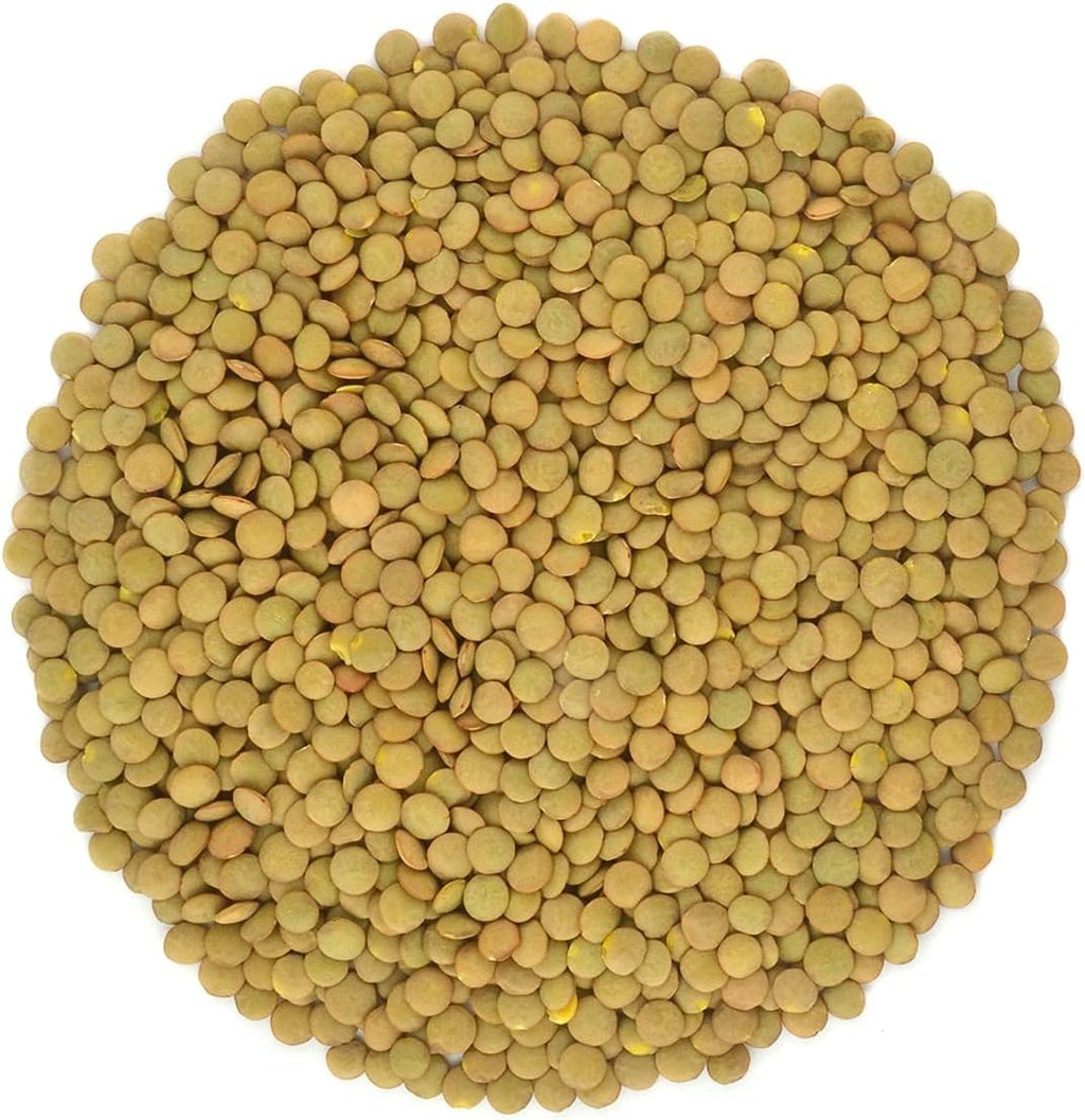 Organic Green Lentils Whole Raw, High Fiber Non-GMO-Bulk (5LB)