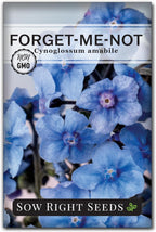 Sow Right Seeds - Forget-Me-Not Seeds for Planting - Non-GMO Heirloom Variety - Memorial for Celebration of Life - Grow Forget-Me-Not Flowers - Perfect for Gardens and Special Occasions (1)