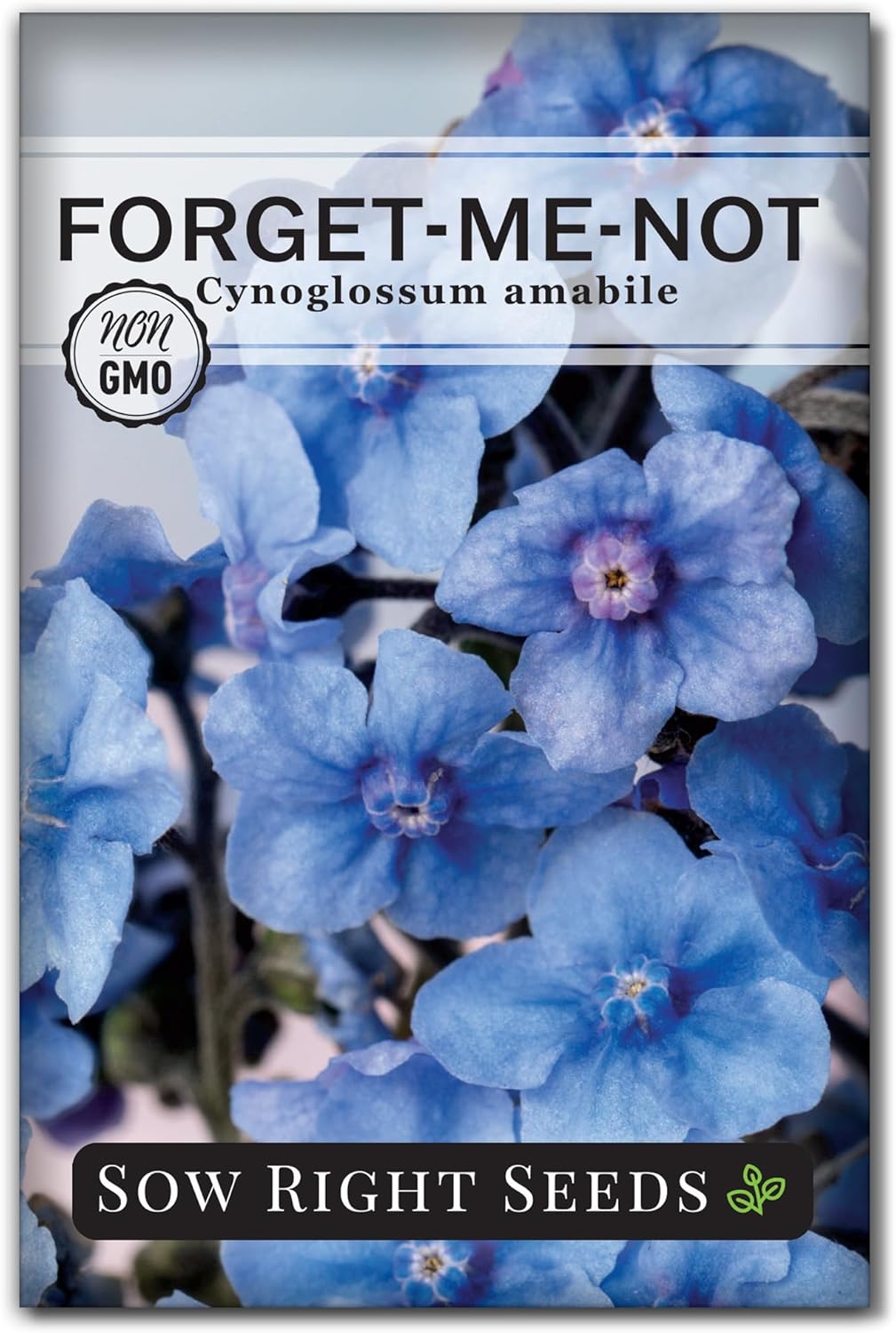 Sow Right Seeds - Forget-Me-Not Seeds for Planting - Non-GMO Heirloom Variety - Memorial for Celebration of Life - Grow Forget-Me-Not Flowers - Perfect for Gardens and Special Occasions (1)