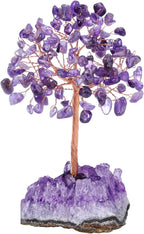 Jovivi Amethyst Crystal Tree, Natural Healing Crystals Money Trees Amethyst Cluster Base,Reiki Positive Energy Gemstones Bonsai Tree, Feng Shui Purple Room Office Desk Decor Spiritual Gifts