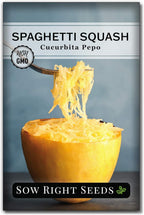 Sow Right Seeds - Spaghetti Squash Seeds for Planting - Non-GMO Heirloom Packet with Instructions to Plant and Grow an Outdoor Home Vegetable Garden - Roast and Enjoy Eating This Favorite Variety (1)