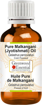 Greenwood Essential Malkangani (Jyotishmati) Oil (Celastrus paniculatus) | Cold Pressed | Natural | For Diluting Essential Oils | Skin & Massage | Unisex | 100ml (3.38 oz)