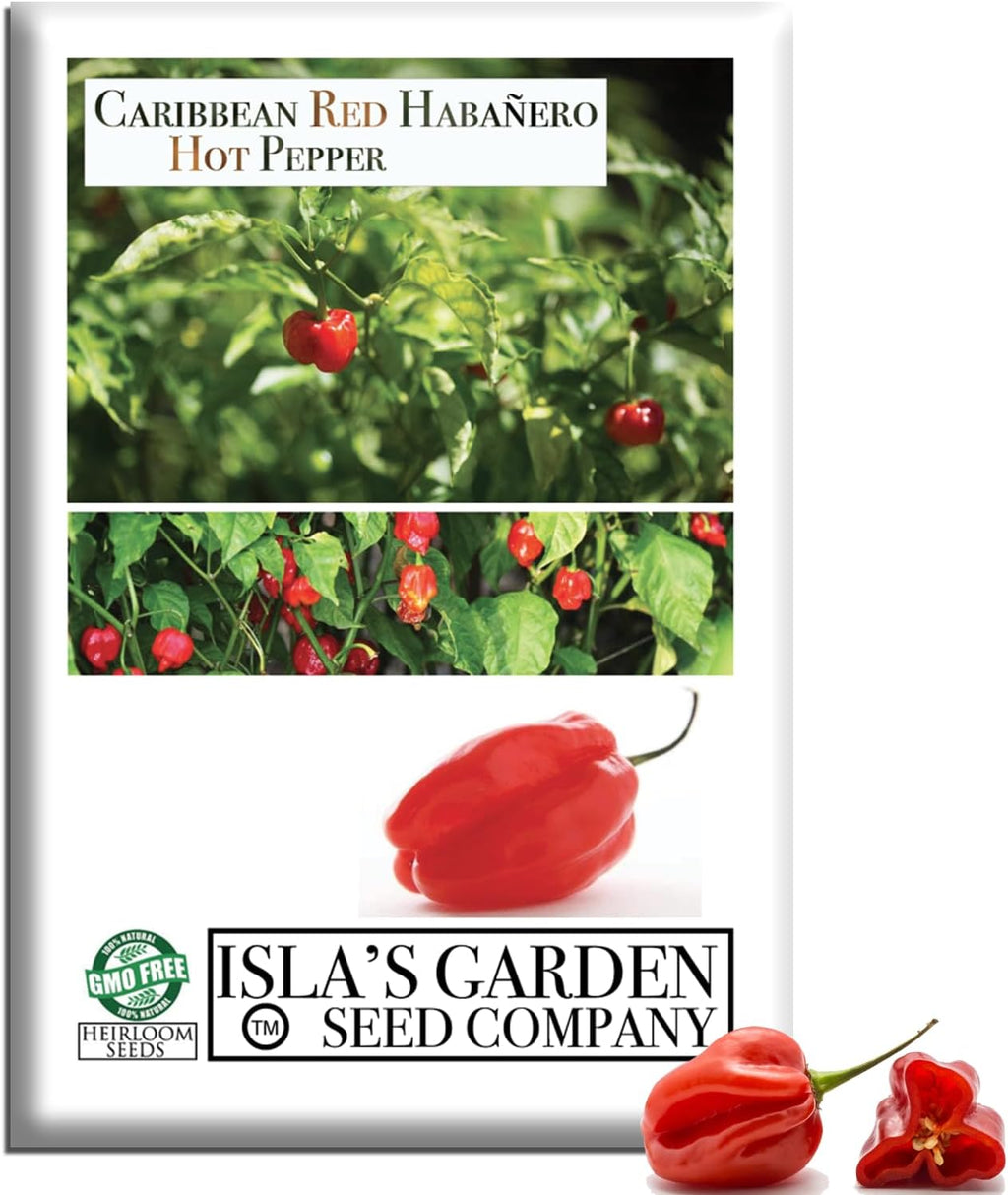 Caribbean Red Habañero Hot Pepper Seeds, 25 Heirloom Seeds Per Packet, Non GMO Seeds, Botanical Name: Capsicum chinense, Isla's Garden Seeds