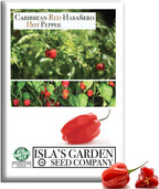 Caribbean Red Habañero Hot Pepper Seeds, 25 Heirloom Seeds Per Packet, Non GMO Seeds, Botanical Name: Capsicum chinense, Isla's Garden Seeds