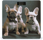 French Bulldog Puppies Bathroom Scale for Body Weight Bathroom Weighing Scale with Backlit LCD Display Highly Accurate Measures Weight Up to 180kg