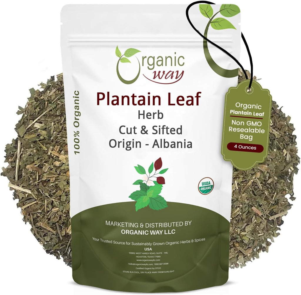 Organic Way Plantain Leaf Cut and Sifted - Herbal Tea | European Wild-Harvest | Organic & Kosher Certified | Non GMO & USDA Certified | Origin - Albania (4 Ounce Pack)