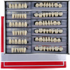 168 Pieces False Teeth Dental Complete Acrylic Resin Denture Teeth, 6 Sets Whole Teeth Synthetic Polymer Denture Tooth, 23 Shade A2 Upper + Lower Dental Materials for Replacement, DIY, or Halloween