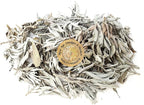 1 LB-Premium Organic California White Sage Leaves/Clusters. Use for Home Cleansing Rituals, Meditation, Smudging Rituals. Packaged in USA by New Age Smudges & Herbs®