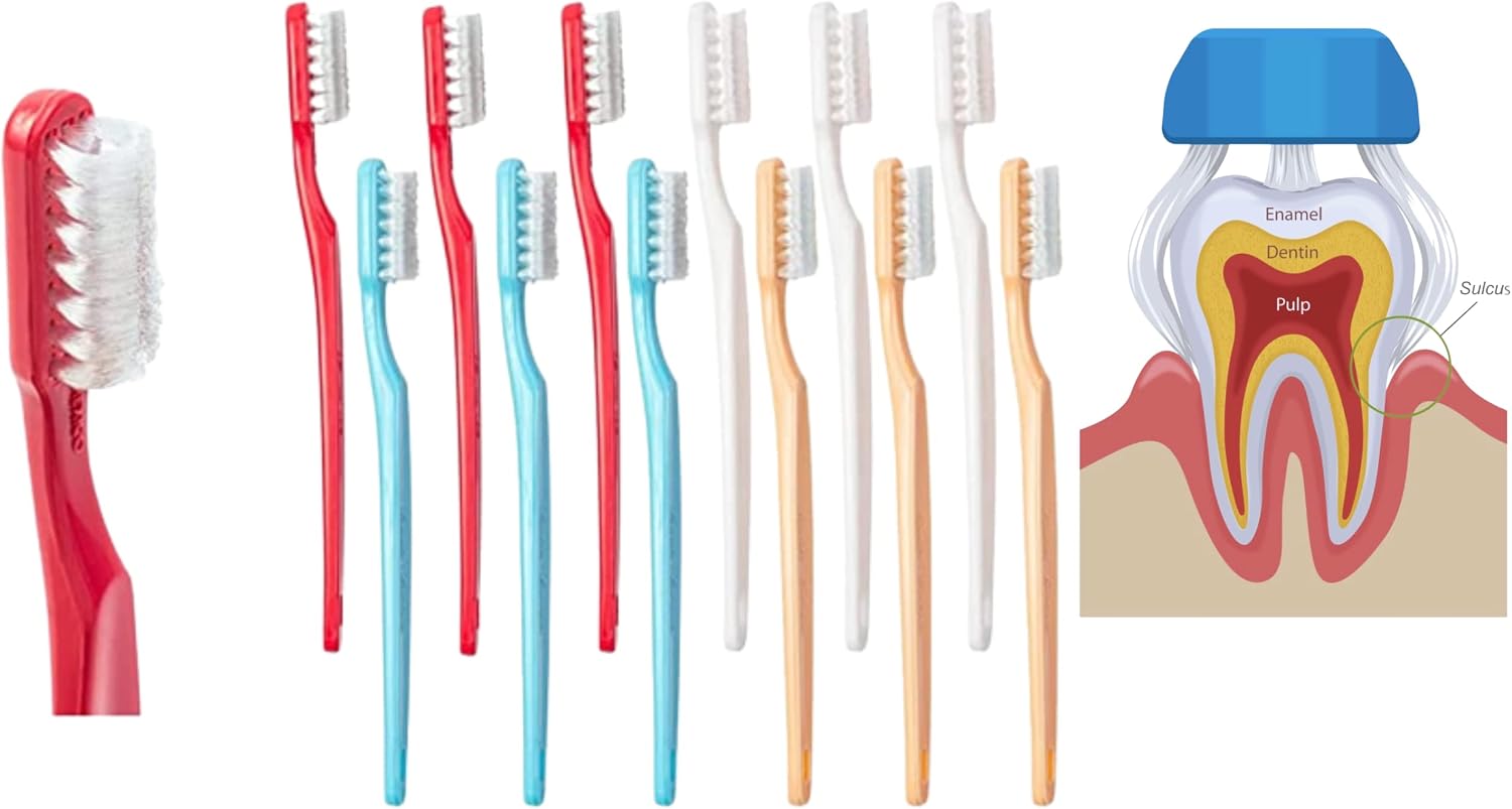 Collis Curve - Soft 3 Sided Toothbrush - Orthodontic Toothbrushes - Soft Bristle Toothbrush for Sensitive Gums, Bleeding Gums, Braces, Autistic, Adults and Children's Over 13 Years (Pack 12)