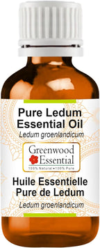 Greenwood Essential Ledum Essential Oil (Ledum groenlandicum) Pure | Non-Sticky | Non-Greasy | Lightweight | Men & Women | All Skin Types | Steam Distilled 10ml (0.33 oz)