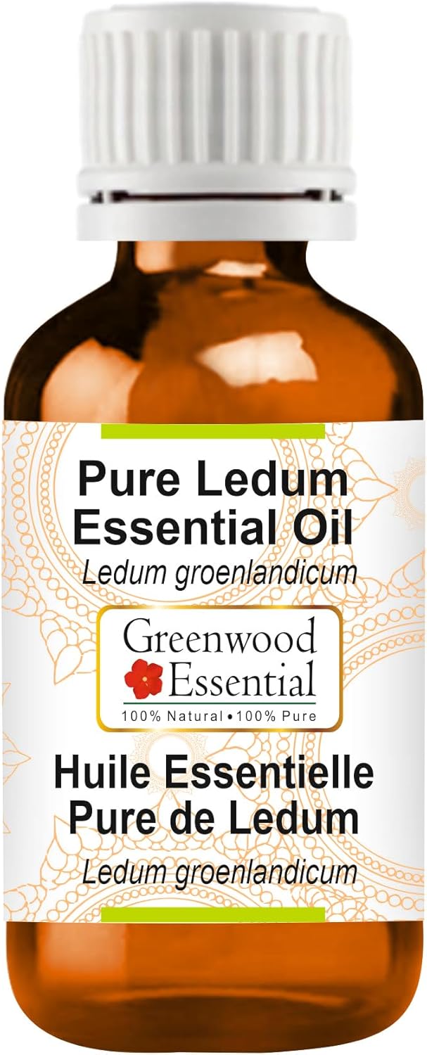 Greenwood Essential Ledum Essential Oil (Ledum groenlandicum) Pure | Non-Sticky | Non-Greasy | Lightweight | Men & Women | All Skin Types | Steam Distilled 10ml (0.33 oz)