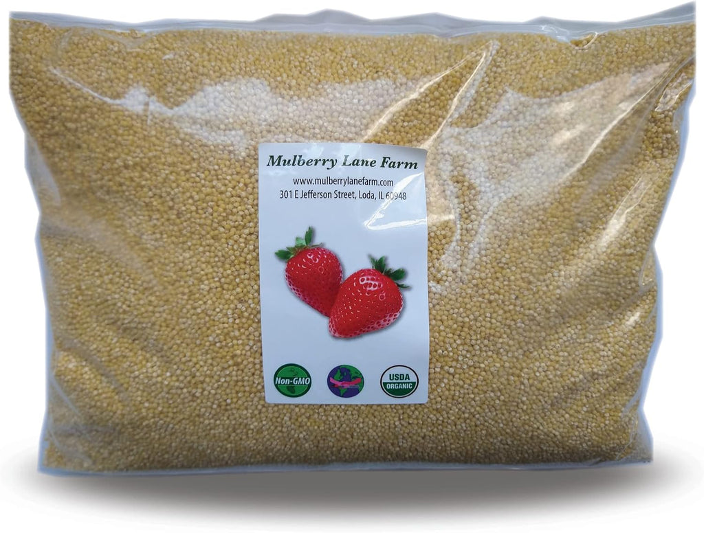 Millet Hulled 5 Pounds USDA Certified Organic Non-GMO Bulk, Product of USA, Mulberry Lane Farms