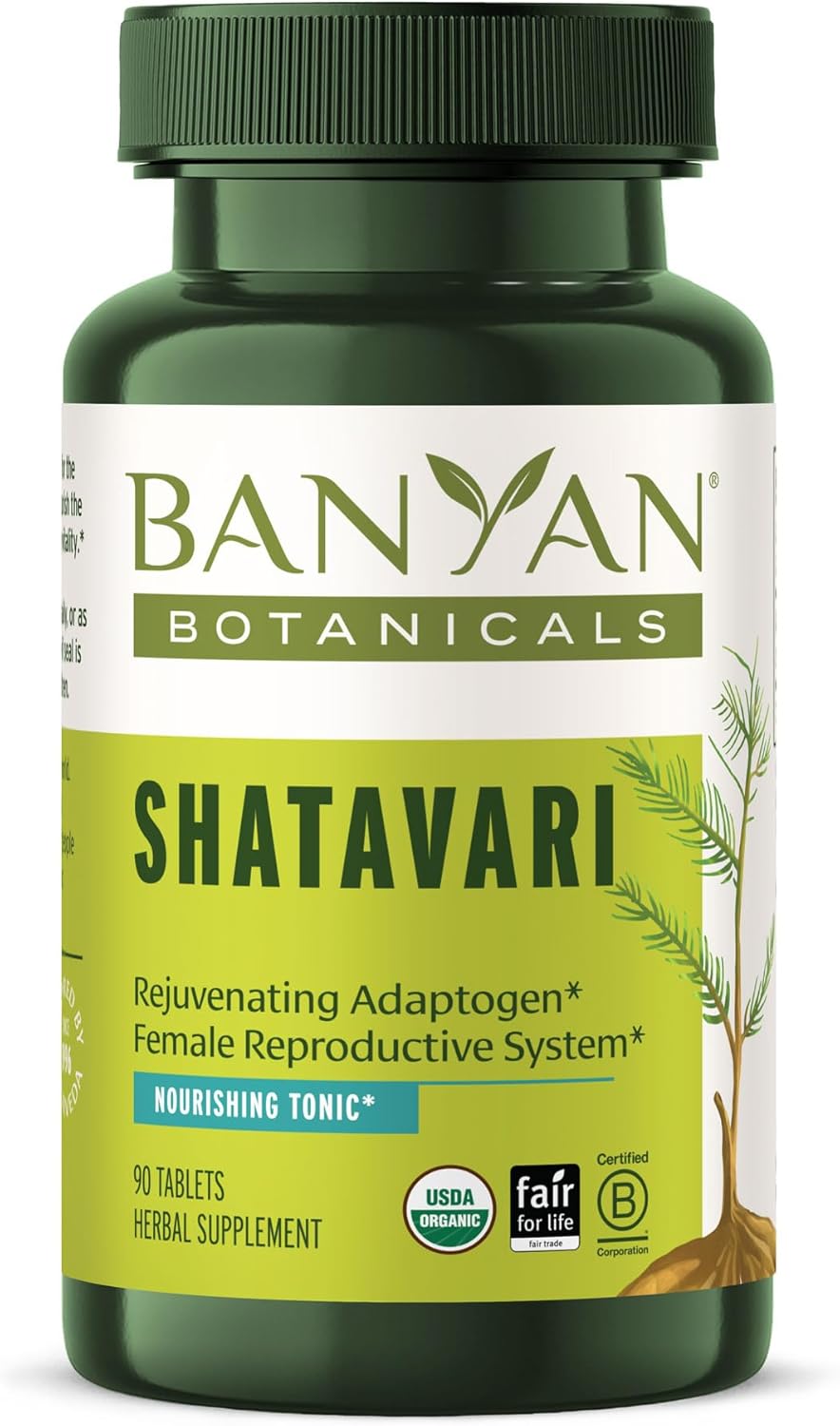 Banyan Botanicals Organic Shatavari Tablets – Rejuvenating Tonic for Feminine Vitality & Reproductive Health – Cooling Adaptogen for Internal Balance & Stress Support – 90 Tablets – USDA Organic