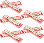 Nuanchu 280 Pcs False Teeth Acrylic Resin, 10 Set A2 Shade Denture Teeth Replacement Kit Solid Synthetic Polymer Fake Tooth for Halloween Horror Props DIY Costume Dental Teaching Model
