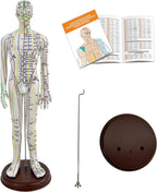 Acupuncture Model, Human Acupoint Model 20.5in Full Body Silicone Professionals Clear Identification with Base for Chinese Medicine Teaching Acupoint Student Demonstration (Male)