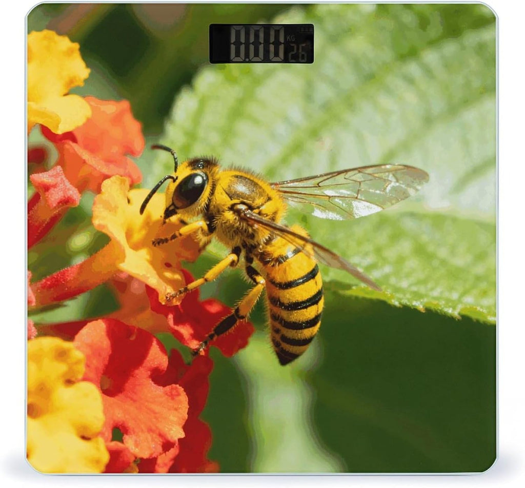 Yellow Bee Body Weight Scale Accurate Stable Digital Bathroom Scale Safe Anti-Slip Home Scale with LCD Display, Anti-Slip Base & Safe Rounded Edge Design for Home Use
