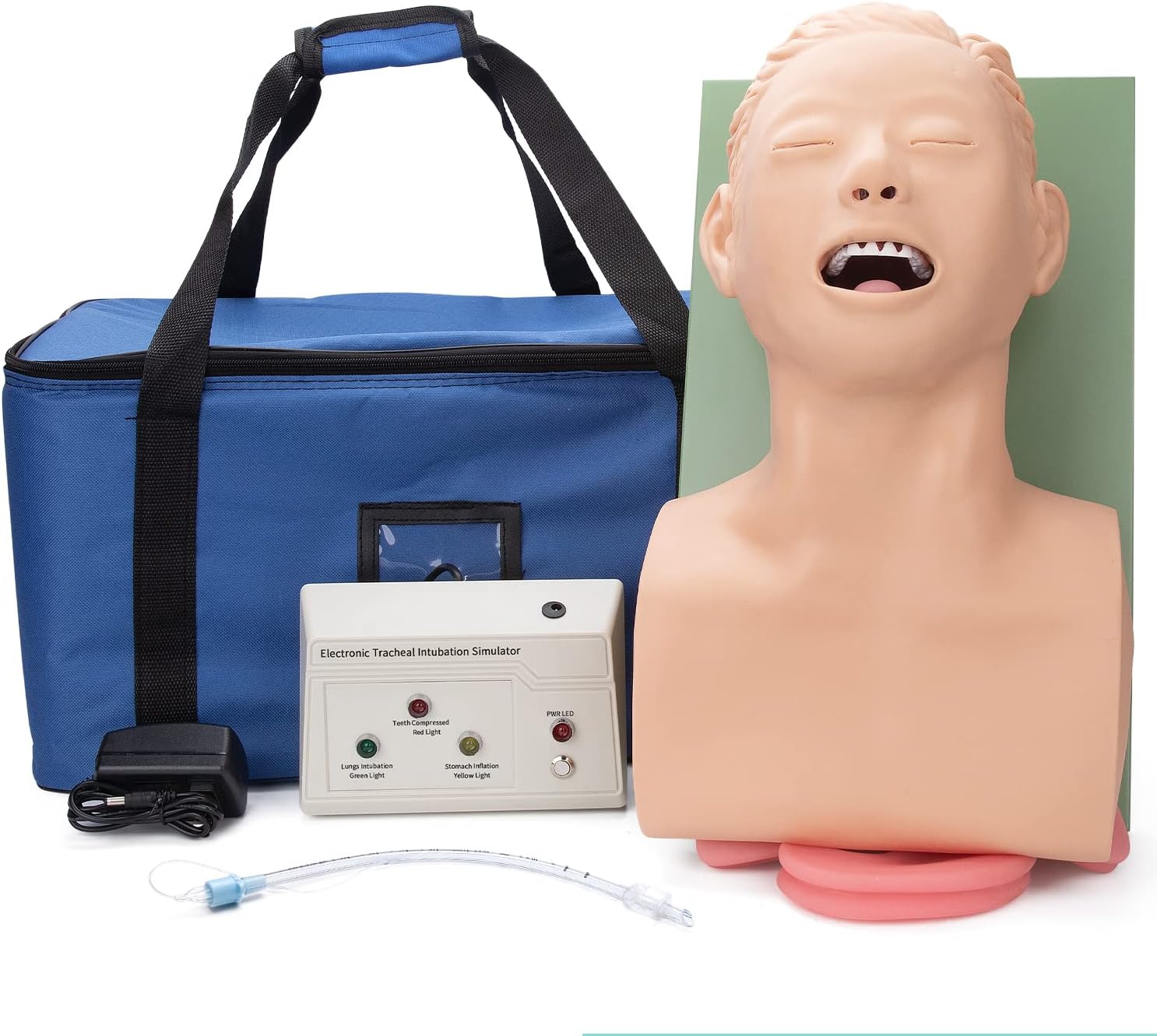 Intubation Manikin Teaching Model, 110V Adult Airway Management Trainer Tracheal Intubation Training Simulator Model, Science Lab Education Training