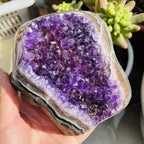 Natural Amethyst Geode Quartz Cluster Crystal Specimen Energy-1000g