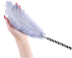 Sexy Feather Stick Tickling Erotic Torture Tool Sexy BDSM Tease Teather Stick Sex Whip Sex Toy in Bed for Couples，Sex Feather，BDSM Feather，Feather Tickle Teaser Sex