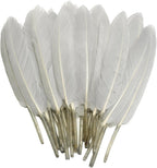 FeelfunFeather 120pcs Light Grey Goose Cochettes Feather Natural Bulk 4-6 inch 10-15cm for Wedding Party Christmas Decorations DIY Crafts Goose Cochettes Feather