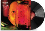Jar Of Flies