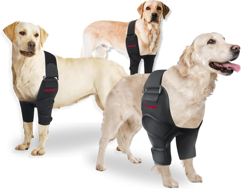 Dog Elbow Protector for Calluses & Arthritis Brace. Hygroma Elbow Pads for Dogs & Dog Elbow Brace Front Leg Support. Dog Shoulder Brace, Dog Leg Brace Front & Dog Elbow Callus Protector - M