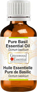 Greenwood Essential Basil Essential Oil (Ocimum basilicum) Pure | Non-Sticky | Non-Greasy | Lightweight | Men & Women | All Skin Types | Steam Distilled 15ml (0.50 oz)