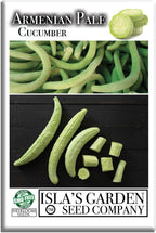 Armenian Pale Green Cucumber Seeds (Cucumis sativus) – 100+ Non-GMO & Heirloom Seeds for Planting, Long Crisp Light-Green Cucumbers for Fresh Eating & Salads, by Isla’s Garden Seeds, Gift Idea