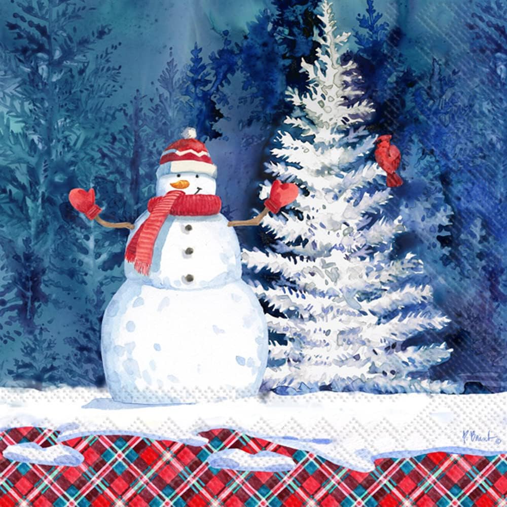 IHR Ideal Home Range Cocktail Napkins Disposable 3-Ply Paper Party Napkin Pack, 5" x 5", Frosted Snowman, 20-Count