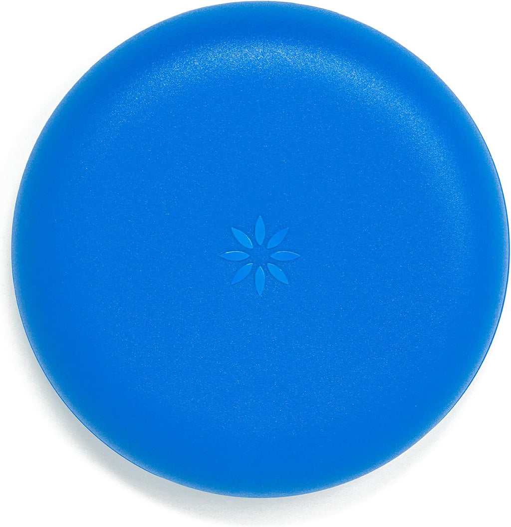 INVISALIGN Aligner and Retainer Case, Royal Blue
