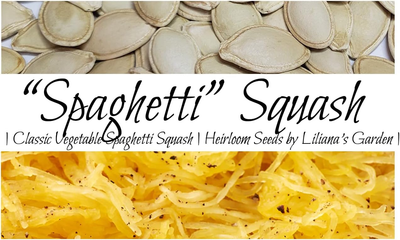 “Winter Spaghetti” Squash Seeds – Seeds for Classic Spaghetti Squash with a Mild Flavor | Never GMO, Always Heirloom and Open-Pollinated | USA Grown Seeds by Liliana's Garden |