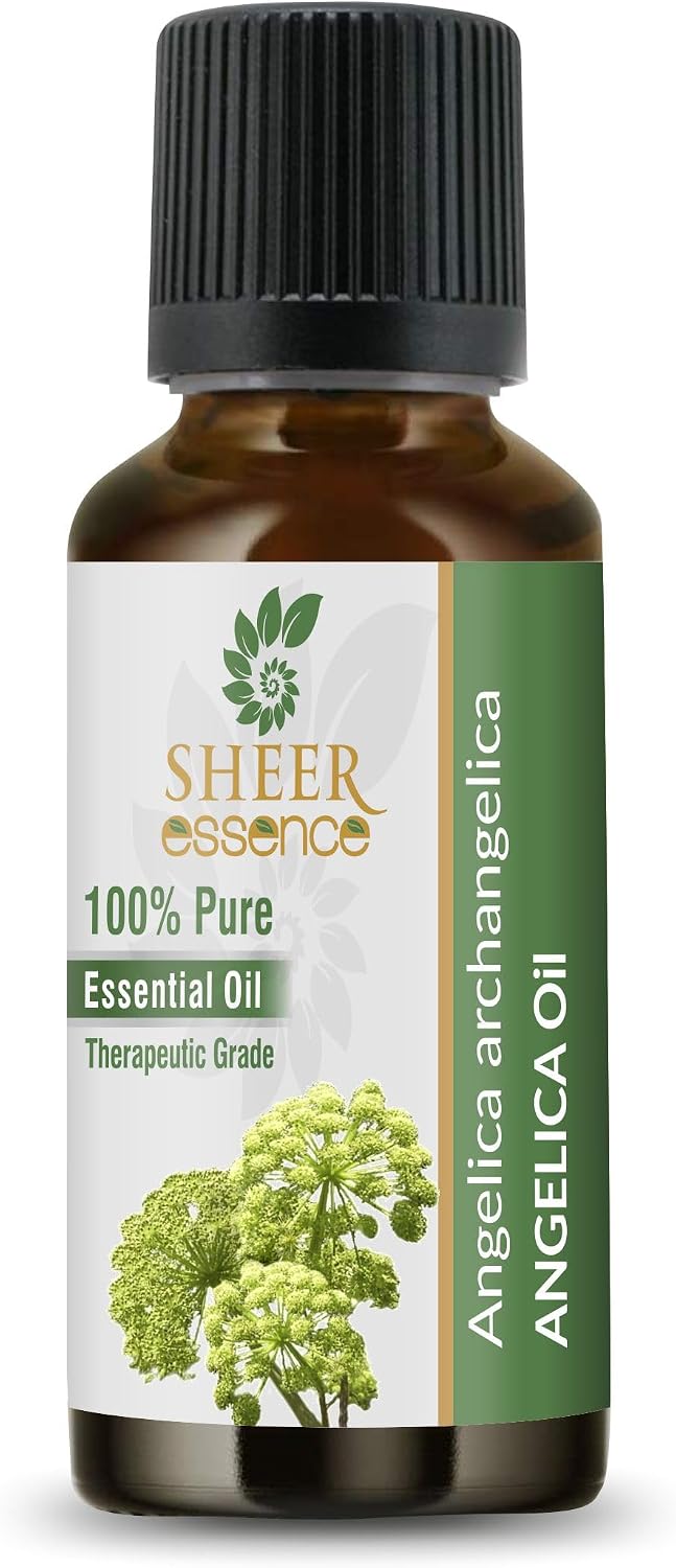 Angelica Oil(Angelica Archangelica) 100% Natural Pure Uncut Essential Oil 0.16 Fl.Oz