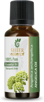 Angelica Oil(Angelica Archangelica) 100% Natural Pure Uncut Essential Oil 0.16 Fl.Oz