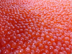 Salmon Red Caviar, Premium Chum Roe 1.1 lb | 500 g