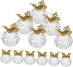 DECHOUS 12pcs Candy Box: Clear Plastic Wedding Favor Candy Boxes - Gold Plated Butterfly European Style Round Bottom Storage Case For Party Home Daily Use