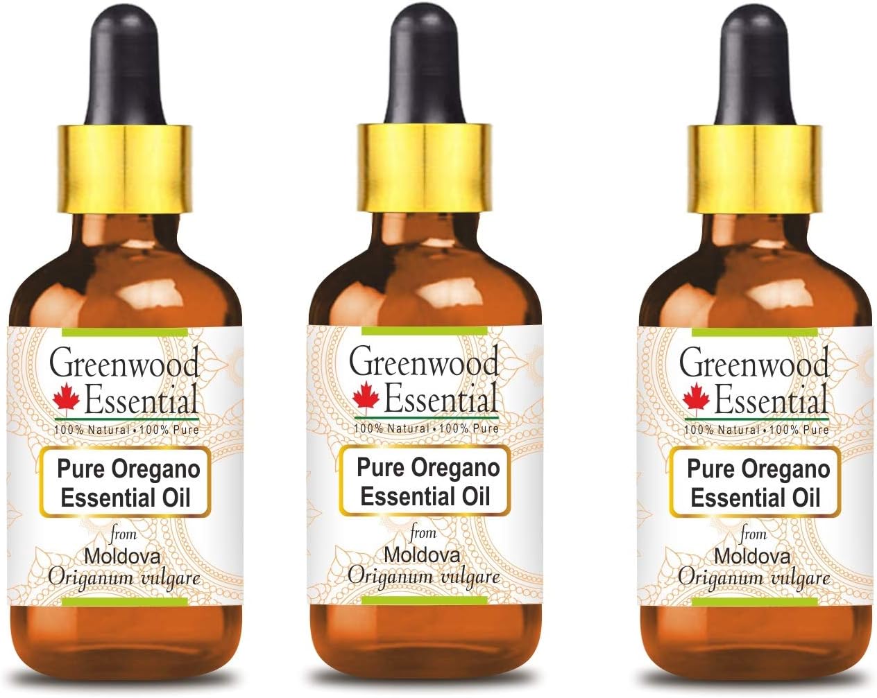 Greenwood Essential Pure Oregano Essential Oil (Origanum vulgare) with Glass Dropper Steam Distilled (Pack of Three) 100ml X 3 (10.1oz)