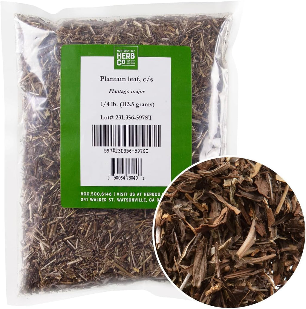 Plantain Leaf Cut & Sifted, by Herb Co, Cuckoo's Bread, Ripple Grass, Used in Tea Blends, 1/4lb