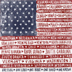 Boston International IHR 3-Ply Paper Napkins, 20-Count Cocktail Size, One Flag One Nation