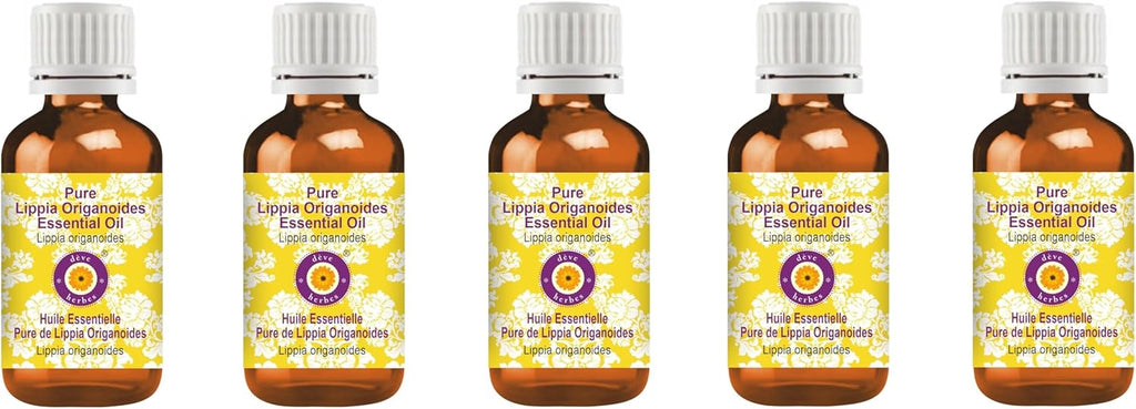 Deve Herbes Pure Lippia Origanoides Essential Oil (Lippia origanoides) Steam Distilled (Pack of Five) 100ml X 5 (16.9 oz)