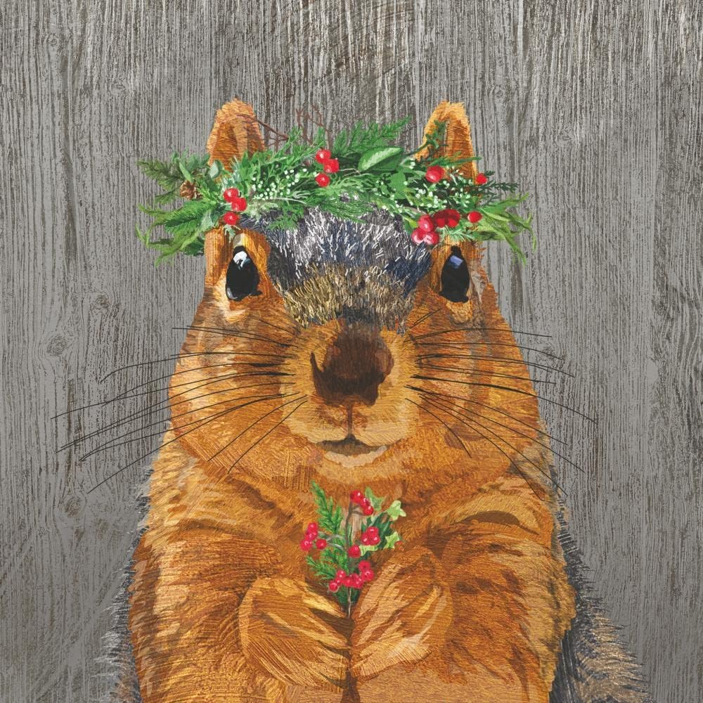 Paperproducts Design Winter Berry Squirrel 3-Ply Beverage Napkins, 5-Inch, Multicolor, Pack of 20