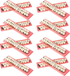 Nuanchu 560 Pcs False Teeth Acrylic Resin, 20 Set A2 Shade Denture Teeth Replacement Kit Solid Synthetic Polymer Fake Tooth for Halloween Horror Props DIY Costume Dental Teaching Model