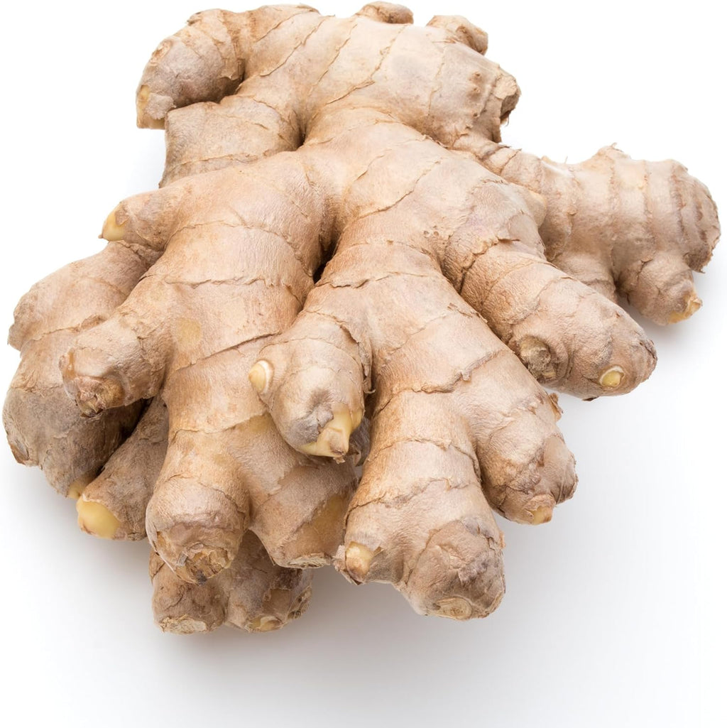 Fresh Organic Ginger Root – Premium, Natural, and Versatile with Strong, Bold Flavor for Cooking, Tea, and More (1 Lb)