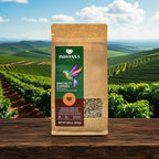 Indianna Cafe | Specialty Unroasted Coffee | 100% Brazilian Arabica Green Coffee (8.8 oz) | Whole Unroasted Beans | Raw Specialty Beans