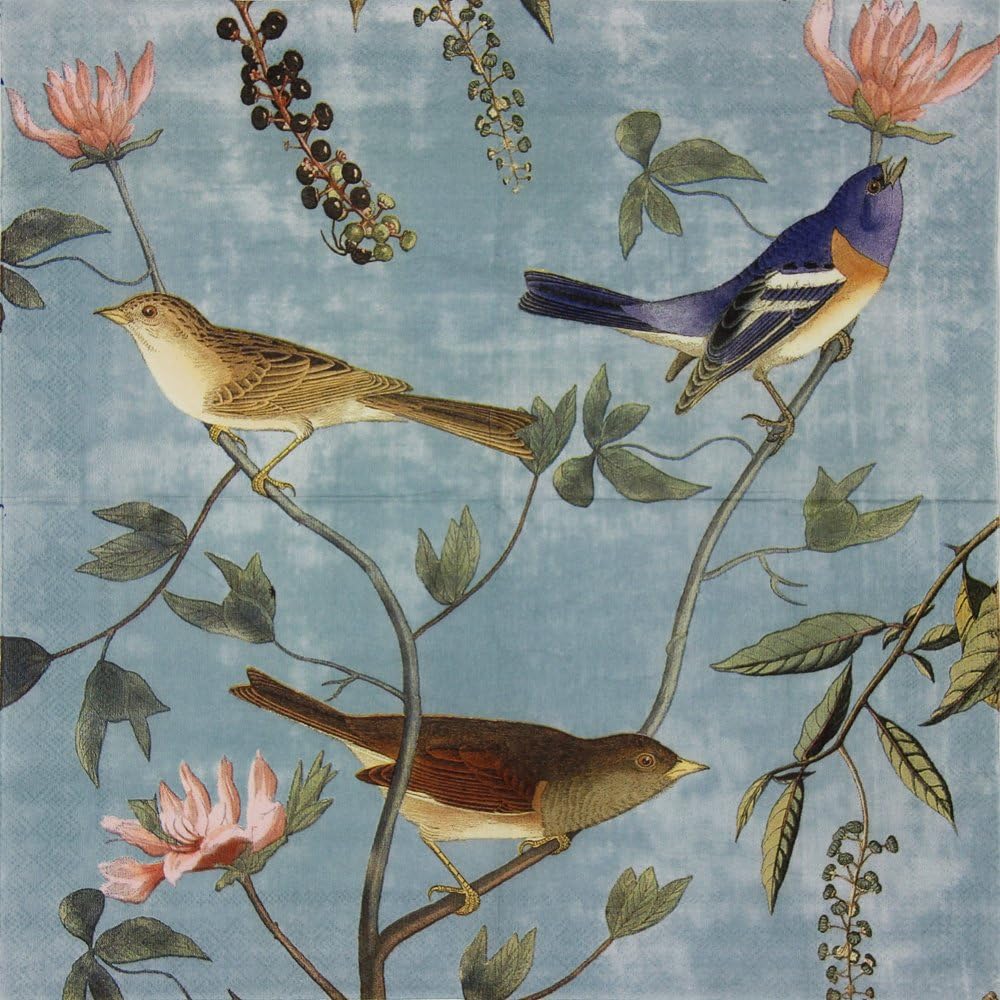 ALINK Decoupage Paper Napkins, Luncheon Tea Party Napkins Serviettes Printed Birds 20 Count 2-Ply, 13 x 13 Inch