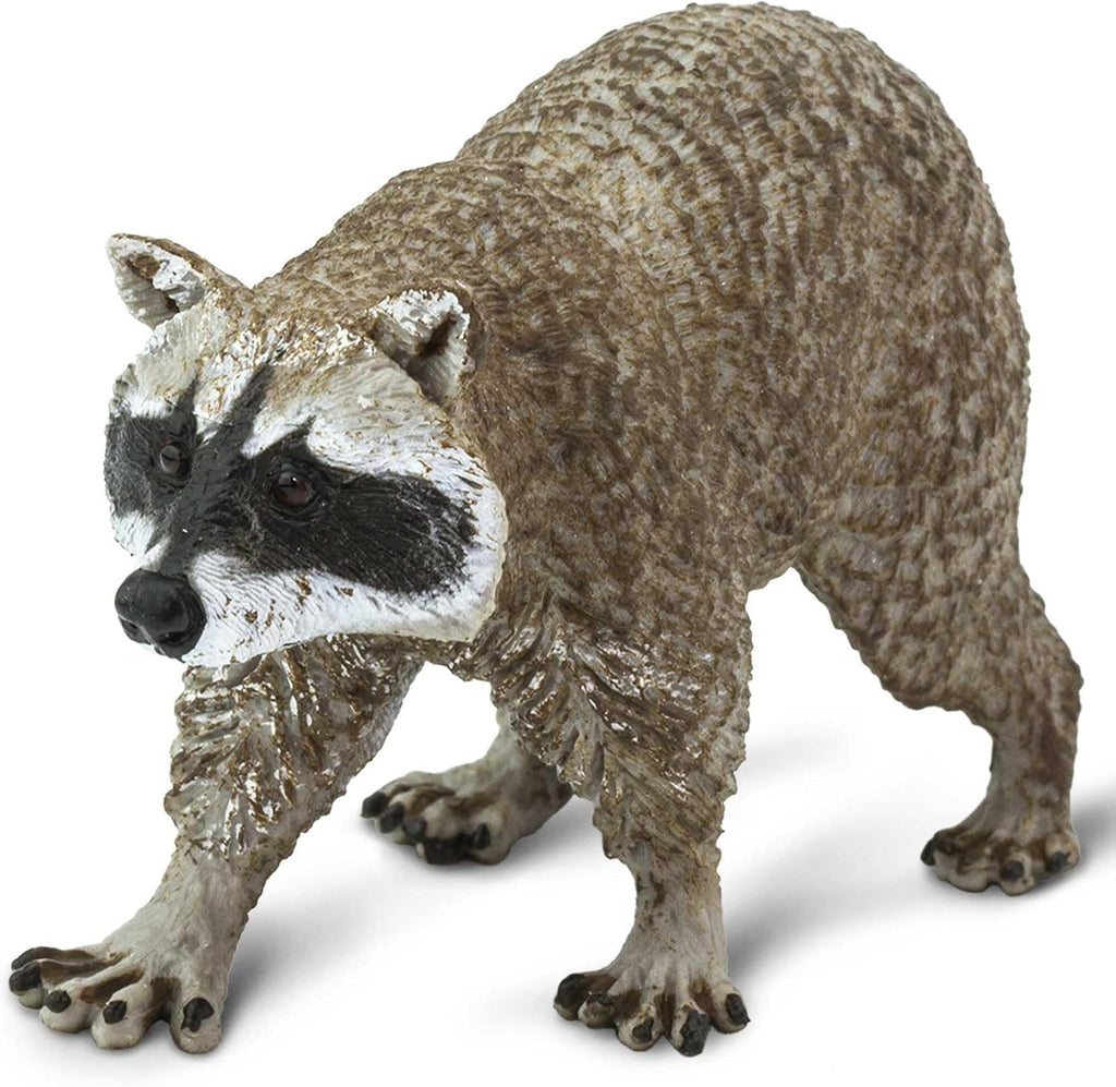 Safari Ltd. Raccoon Figurine - Detailed 3.5" Plastic Model Figure - Fun Play Toy for Boys, Girls & Kids Ages 1+